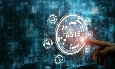 Agile Management